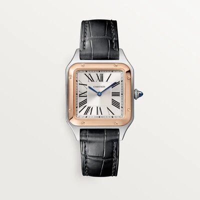 VOICI LES 5 MEILLEURES MONTRES CARTIER POUR FEMME