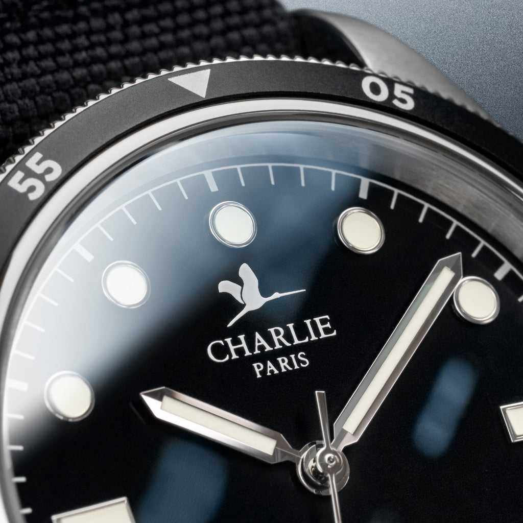 Avis montre Charlie Paris: La nouvelle pépite de l'horlogerie française qui monte [Avis 2025]